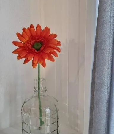 Comfort-plus Ll * 바르샤바