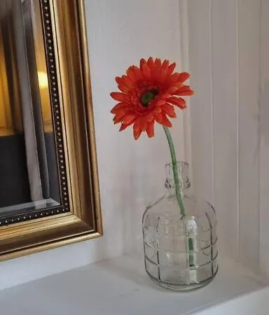 Comfort-plus Ll * Warschau