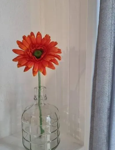 Comfort-plus Ll * Varsó